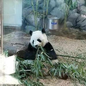 Meet your Posher, Rachelle